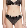 clodia-dnm Find nearest store
