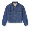 d-ranger Trucker jacket in denim