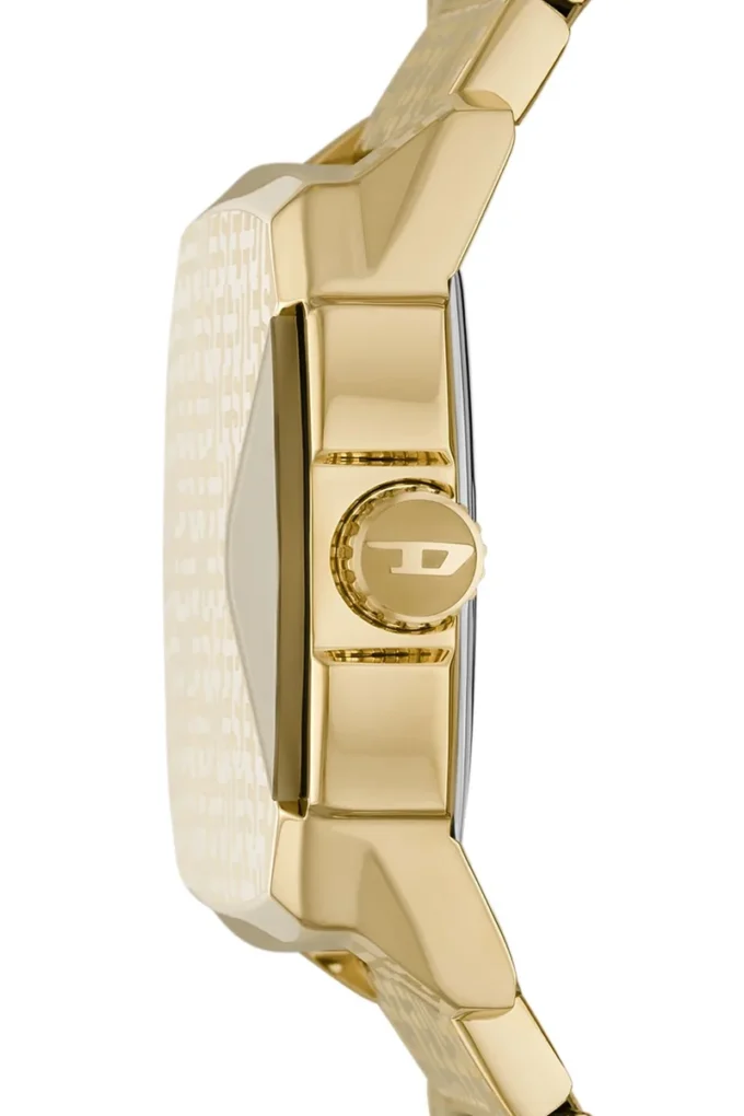 dz2178 D.V.A. Stainless Steel Watch