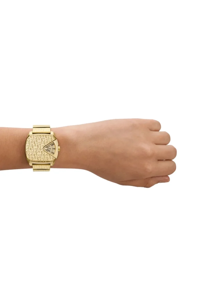 dz2178 D.V.A. Stainless Steel Watch