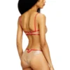 janie-gft Brazilian briefs with contrasting trims