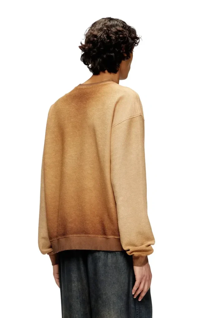 s-aron Faded sweatshirt with devoré Phoenix logo
